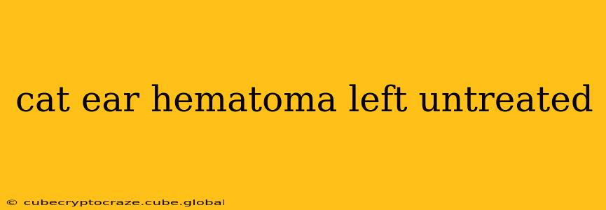 cat ear hematoma left untreated