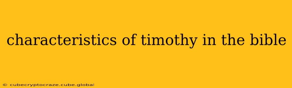 characteristics of timothy in the bible