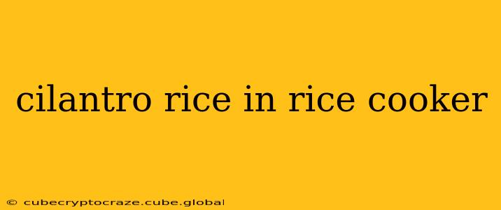 cilantro rice in rice cooker