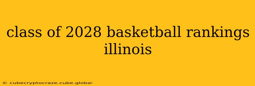 class of 2028 basketball rankings illinois