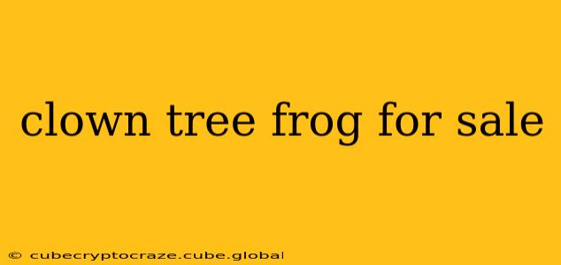 clown tree frog for sale