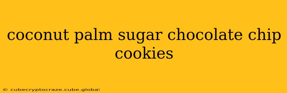coconut palm sugar chocolate chip cookies