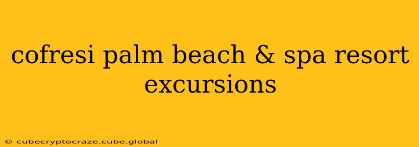 cofresi palm beach & spa resort excursions