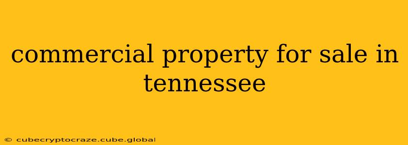 commercial property for sale in tennessee