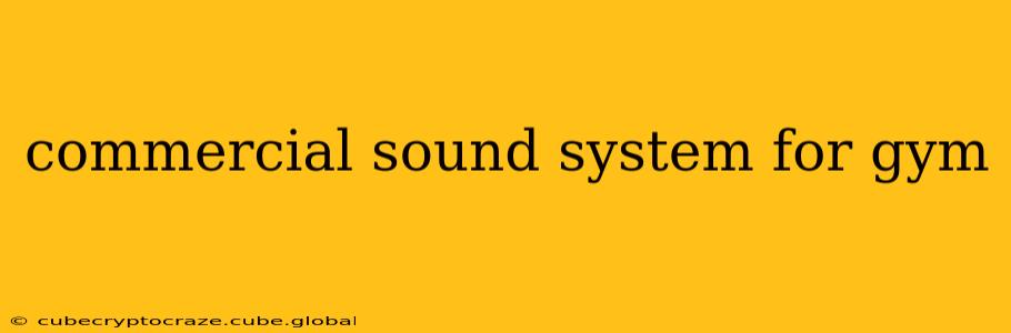 commercial sound system for gym