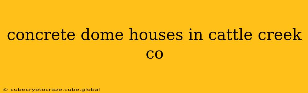 concrete dome houses in cattle creek co