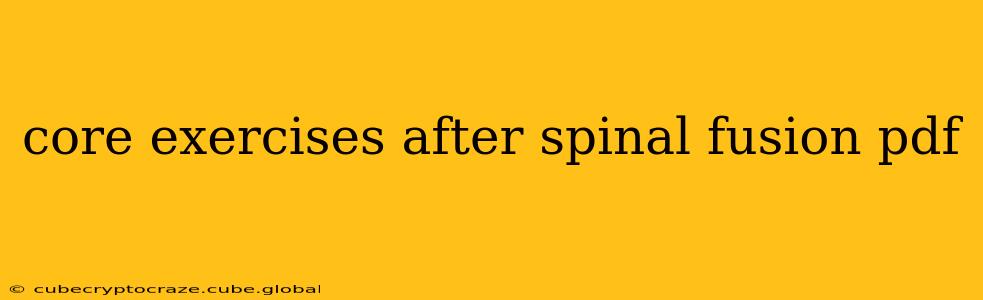 core exercises after spinal fusion pdf