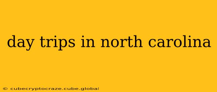 day trips in north carolina