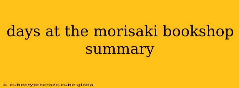 days at the morisaki bookshop summary