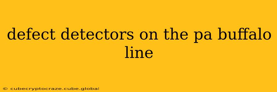 defect detectors on the pa buffalo line