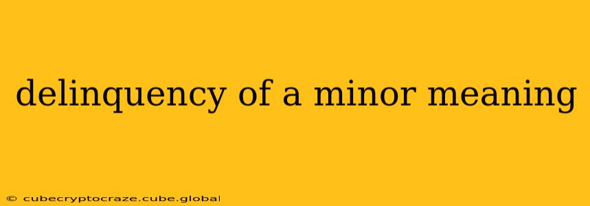 delinquency of a minor meaning