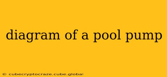 diagram of a pool pump
