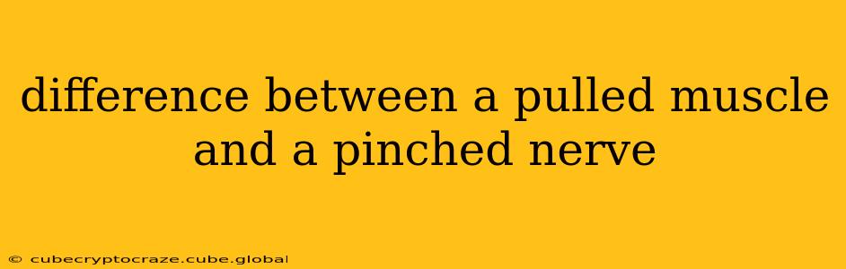 difference between a pulled muscle and a pinched nerve