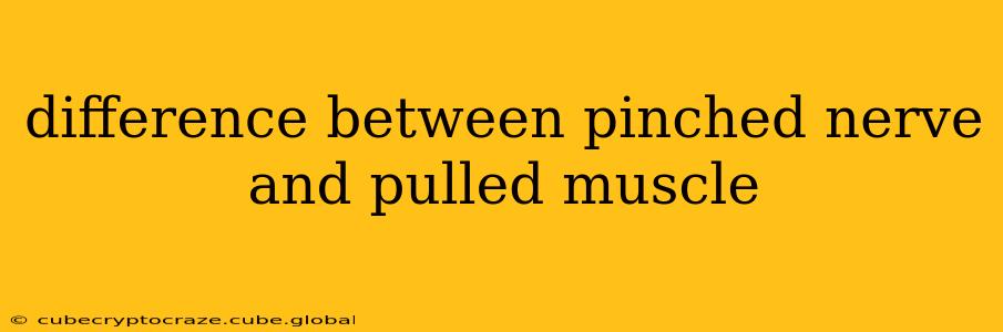 difference between pinched nerve and pulled muscle