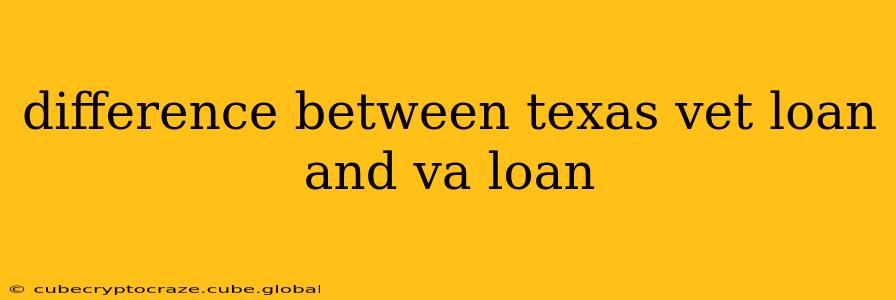difference between texas vet loan and va loan