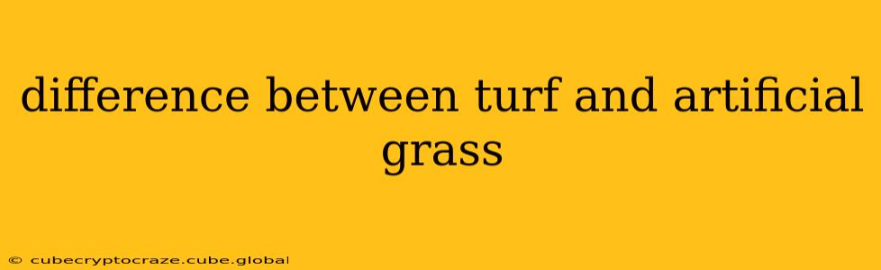 difference between turf and artificial grass