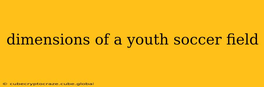 dimensions of a youth soccer field