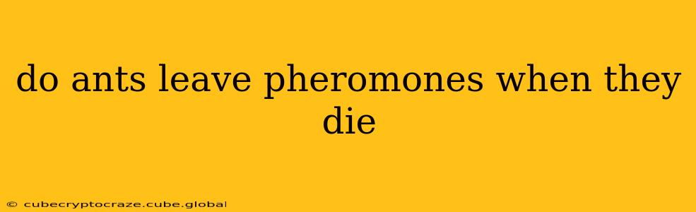 do ants leave pheromones when they die