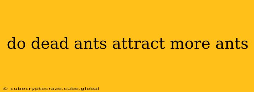 do dead ants attract more ants