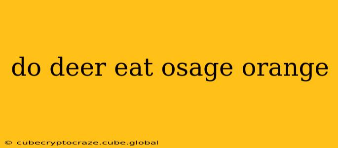 do deer eat osage orange