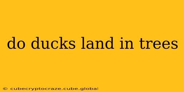 do ducks land in trees