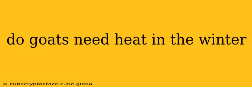 do goats need heat in the winter