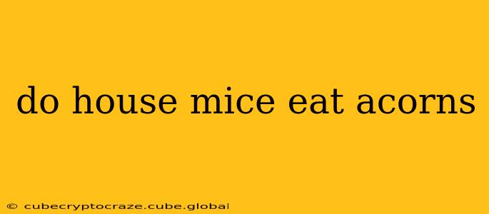 do house mice eat acorns
