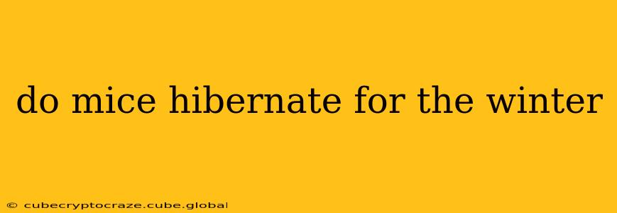 do mice hibernate for the winter