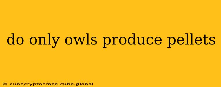do only owls produce pellets