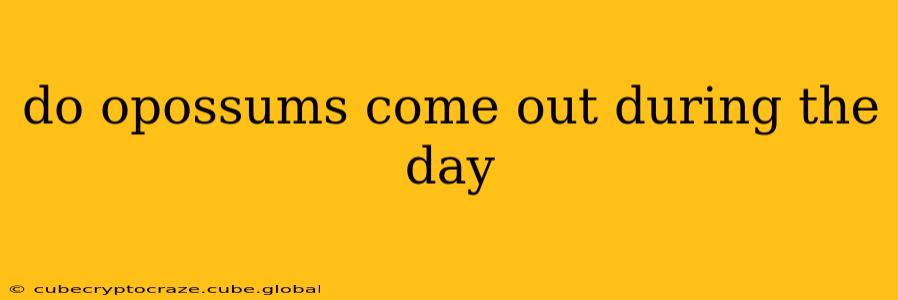 do opossums come out during the day