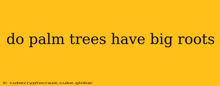 do palm trees have big roots