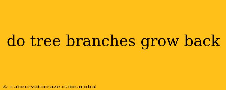 do tree branches grow back