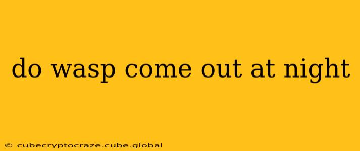 do wasp come out at night