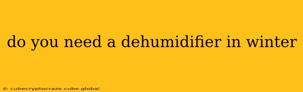 do you need a dehumidifier in winter