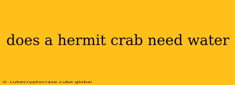 does a hermit crab need water