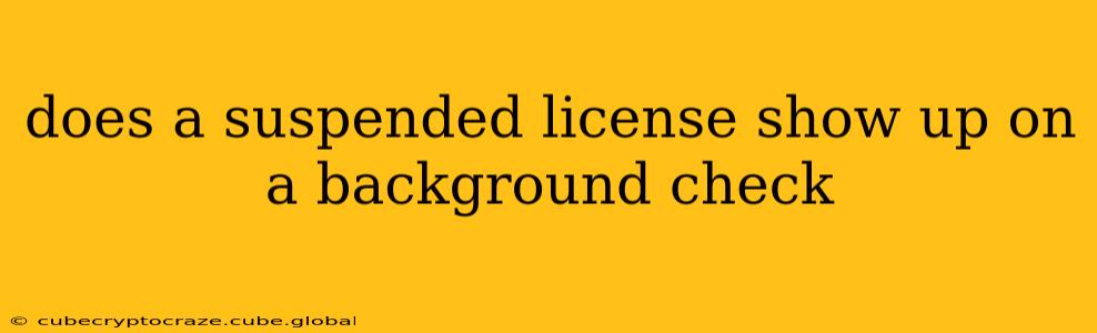 does a suspended license show up on a background check