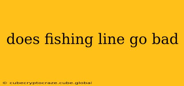 does fishing line go bad