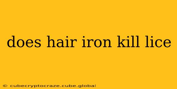 does hair iron kill lice