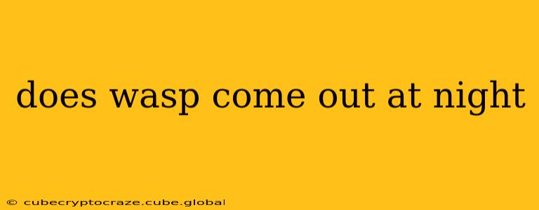 does wasp come out at night