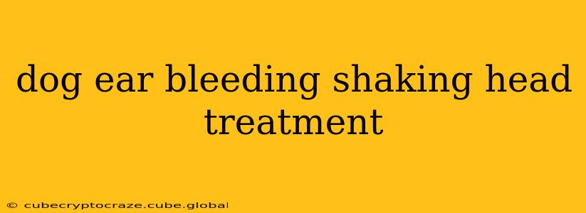 dog ear bleeding shaking head treatment
