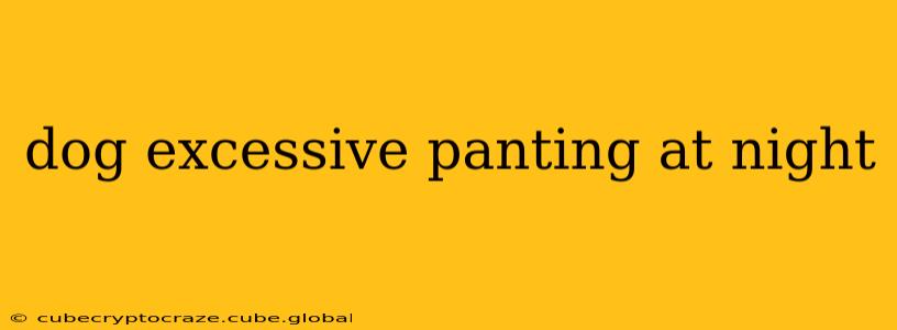 dog excessive panting at night