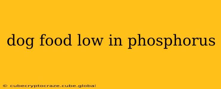 dog food low in phosphorus