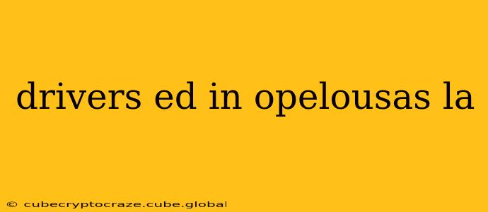 drivers ed in opelousas la
