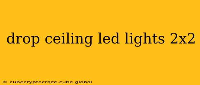 drop ceiling led lights 2x2