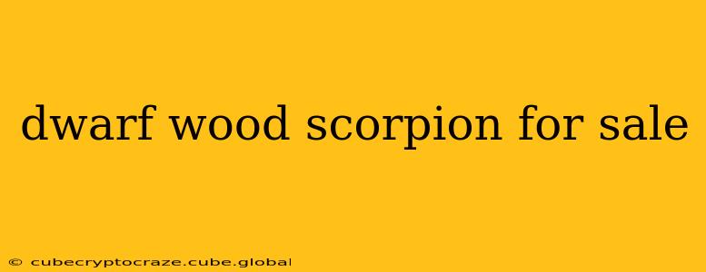dwarf wood scorpion for sale