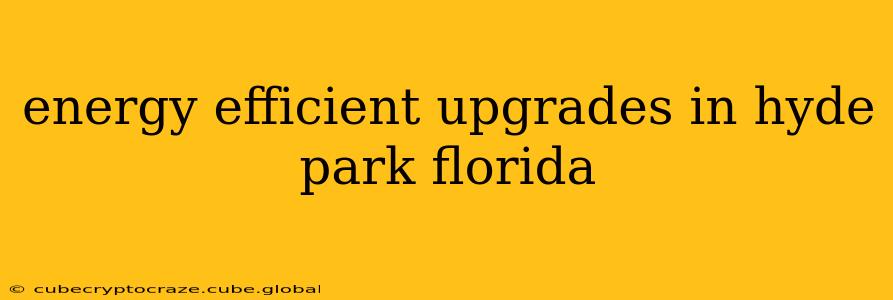 energy efficient upgrades in hyde park florida