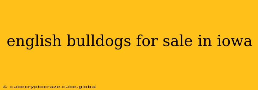 english bulldogs for sale in iowa
