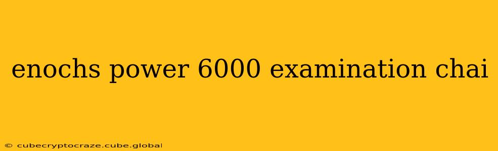 enochs power 6000 examination chai