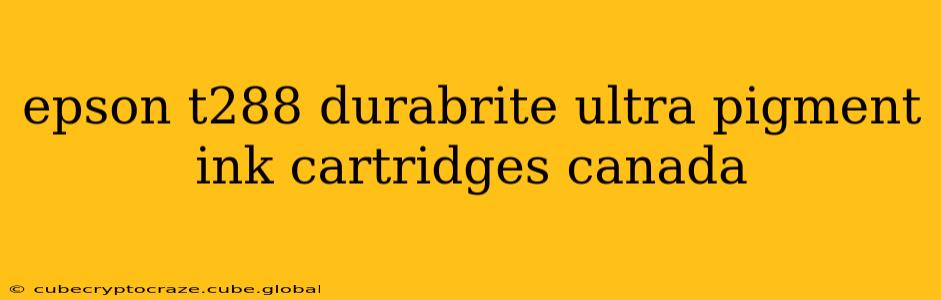 epson t288 durabrite ultra pigment ink cartridges canada