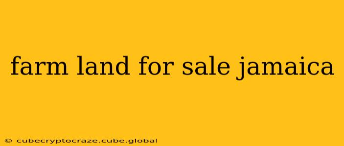 farm land for sale jamaica